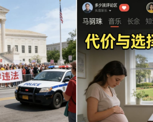 美国代孕攻略(2026):流程·费用·州法 -FSAC代孕生殖中心
