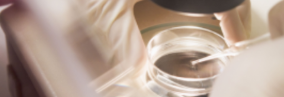 1788575522793472.png 美國RSMC專業醫療團隊-0.png